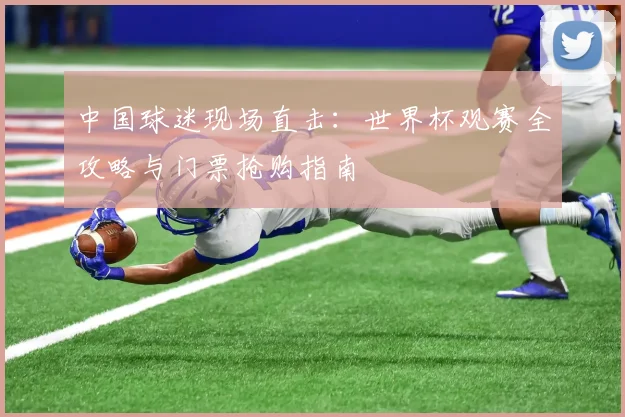 中国球迷现场直击：世界杯观赛全攻略与门票抢购指南