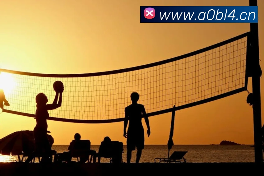 九游体育手机官网入口发展历程